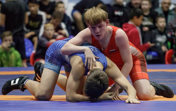 Турнир на призы Владимира Чебоксарова