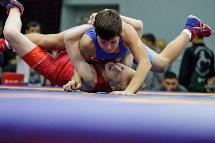 Турнир на призы Владимира Чебоксарова