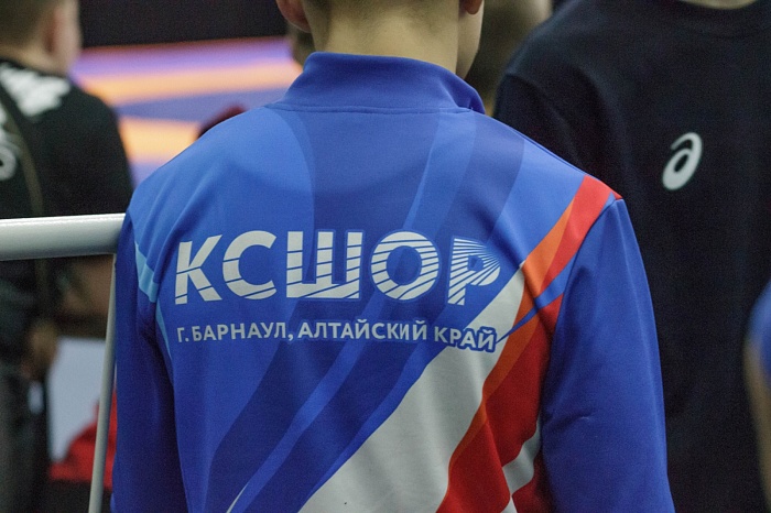 Турнир на призы Владимира Чебоксарова