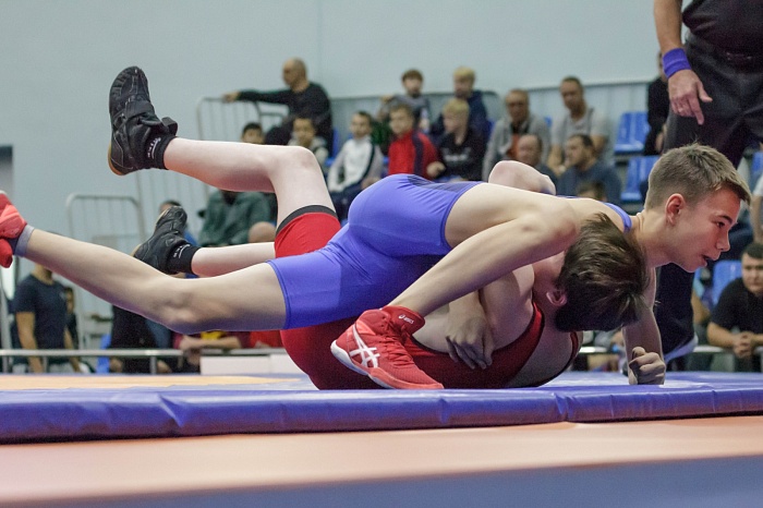 Турнир на призы Владимира Чебоксарова