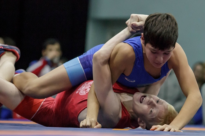 Турнир на призы Владимира Чебоксарова