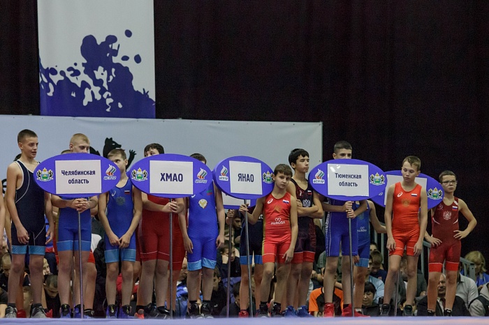 Турнир на призы Владимира Чебоксарова