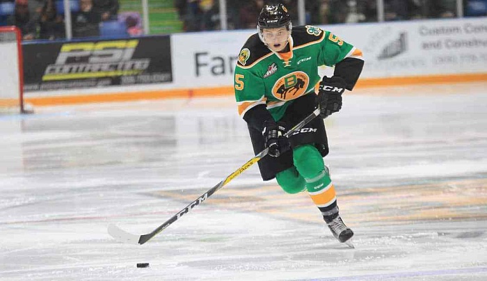 Артем Минулин будет тренироваться с «Магниткой»