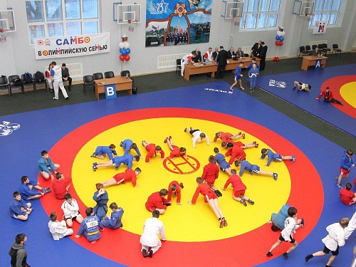 Турнир по самбо День защитника Отечества. Тюмень. Февраль 2017 года