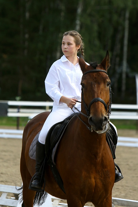 «Скачки фаворитов: Конкур 2023». Клуб «Аллегро»