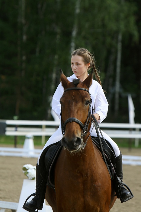 «Скачки фаворитов: Конкур 2023». Клуб «Аллегро»