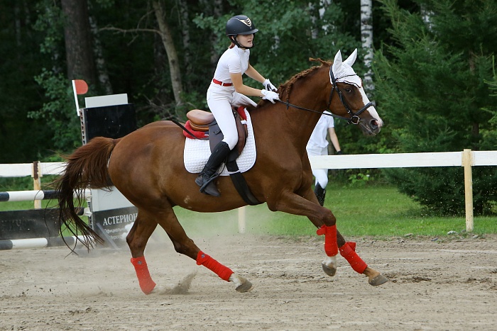 «Скачки фаворитов: Конкур 2023». Клуб «Аллегро»