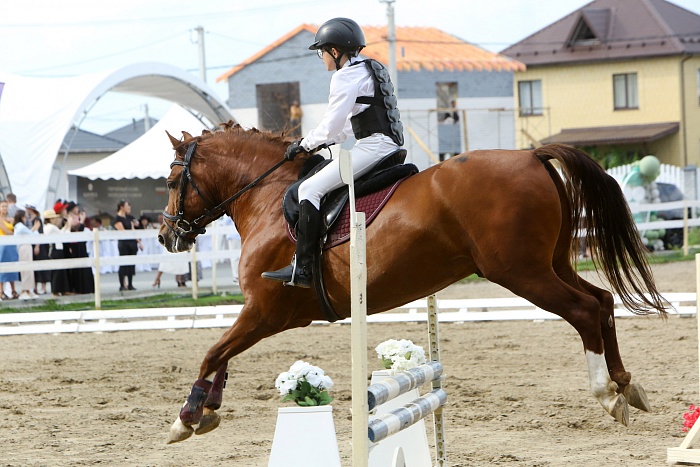 «Скачки фаворитов: Конкур 2023». Клуб «Аллегро»