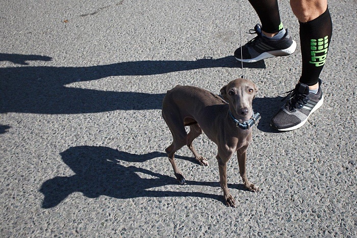 Фото Натальи ГОРШКОВОЙ