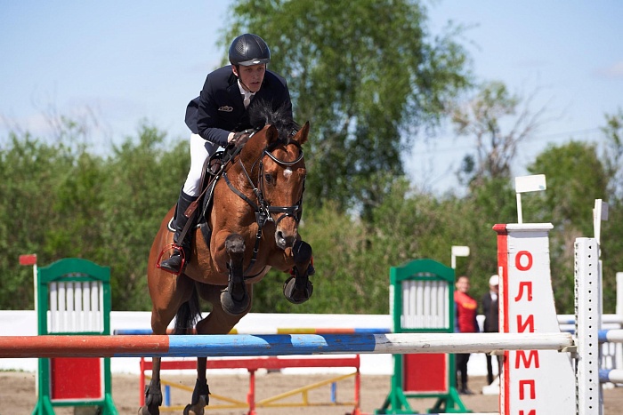 В Тюмени всадники соперничали в конкуре