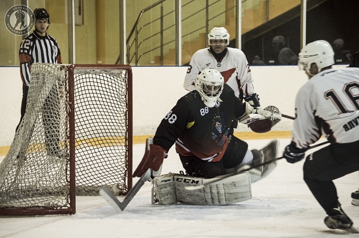 Фото Юлии УШАКОВОЙ (сайт https://tyumen.nhliga.org/)