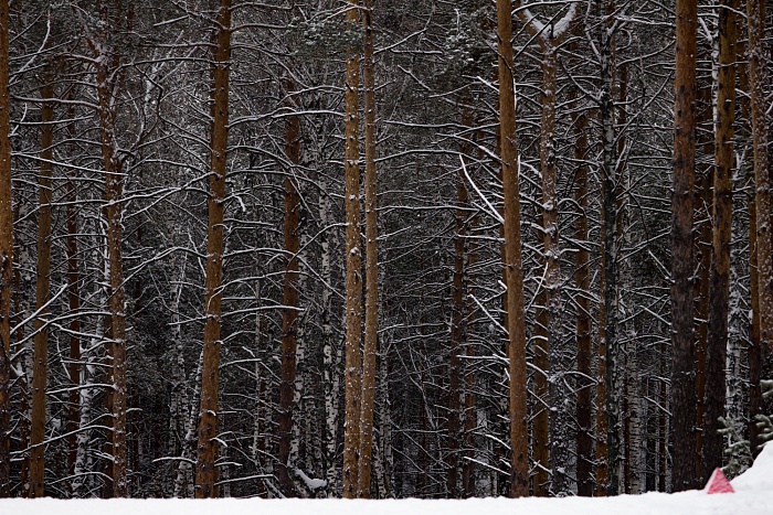Кубок России по лыжным гонкам. 6-й этап в Тюмени. Масс-старт. Женщины