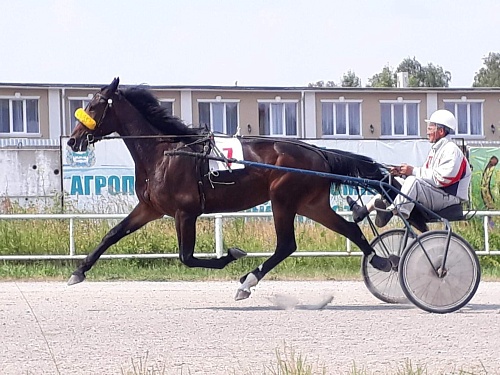 Юргинские всадники взяли медали в Кургане