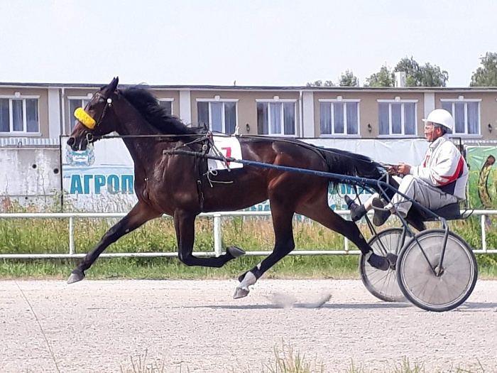 Юргинские всадники взяли медали в Кургане
