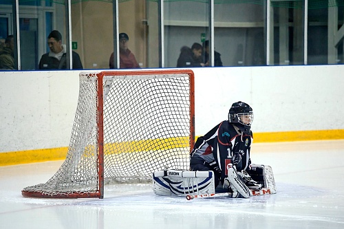 Югорчане всухую обыграли «Сибирь»