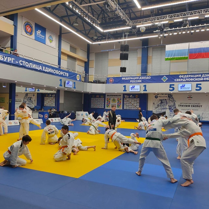 В Тюмени юные дзюдоисты поспорят за «Кубок Сэнсэя»