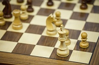 В шахматы сражаются в Светлом поле