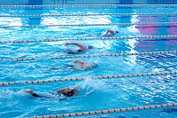 Пловцы соберутся в «Олимпийском»