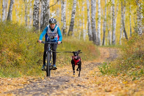 В Упорово состоялись окружные старты