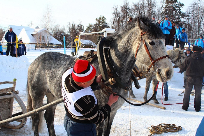 Армизонская команда блеснула в крестьянской эстафете