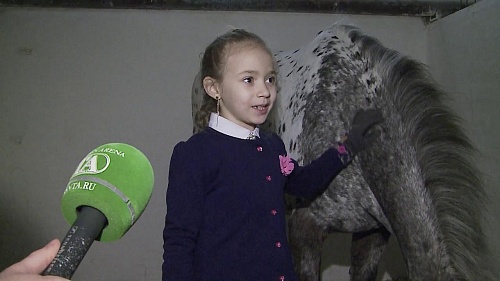 Самые юные наездники - на самых маленьких лошадках. Турнир по конному спорту в Боровском