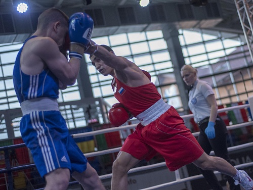 Ишимские боксеры победили на родном ринге