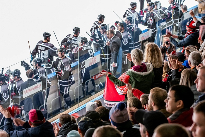 Чемпионат ВХЛ. Рубин - Торпедо
