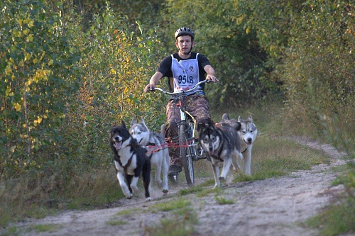 В Тюмени провели «Лапу Дружбы»