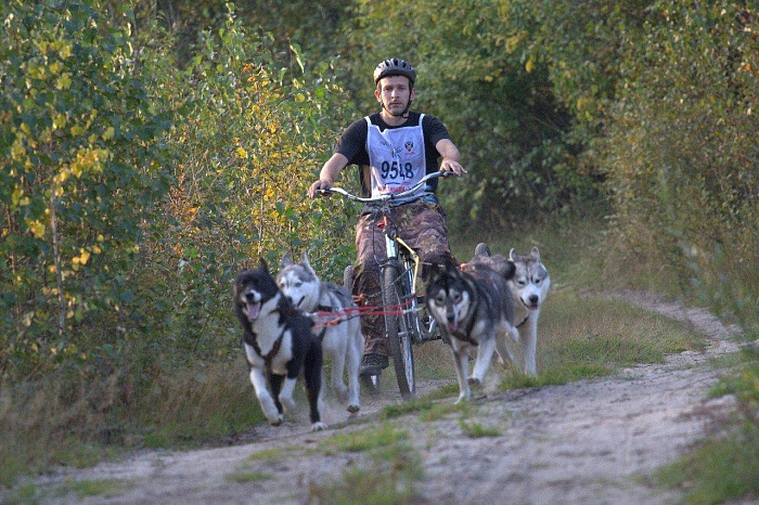 В Тюмени провели «Лапу Дружбы»