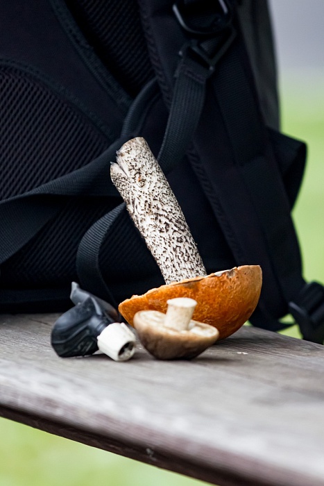 Тренировка сборных команд России и Тюменской области по биатлону в «Жемчужине Сибири»