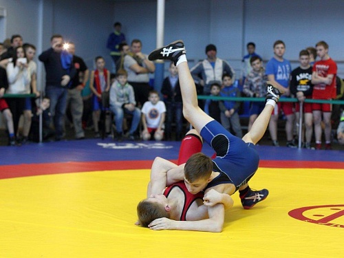 Боролись в честь защитников Отечества (ФОТО)