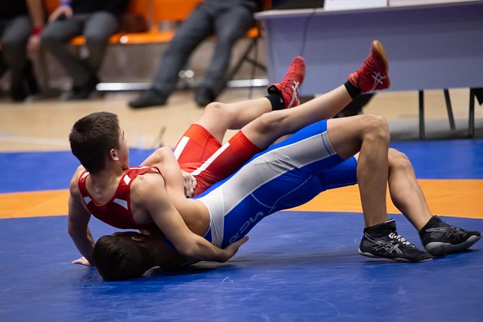 Всероссийский турнир на призы Владимира Чебоксарова