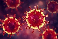 За что вы больше всего злитесь на коронавирус? (ОПРОС)