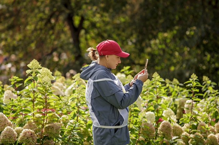 Всероссийский день бега «Кросс нации» в Тюмени