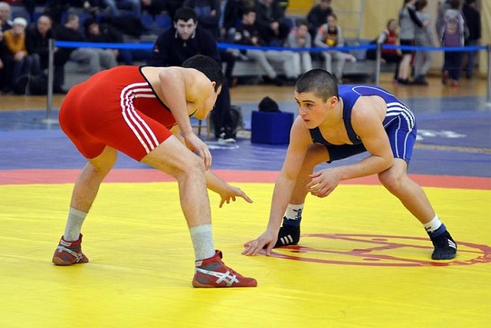 Голышмановские борцы выиграли путевки в Москву