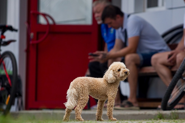 Чемпионат Тюменской области по лыжероллерам. 2-й соревновательный день. Мужчины