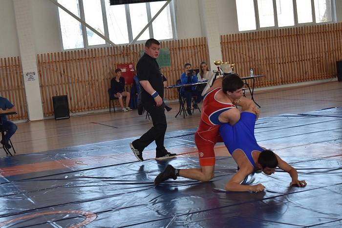 Голышмановские борцы выиграли два турнира