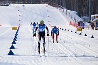 Хозяева выиграли пять из шести золотых медалей