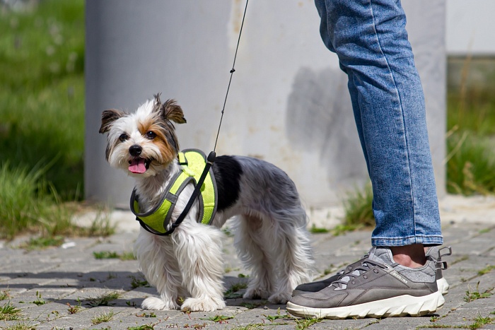 Чемпионат Тюменской области по лыжероллерам. 1-й соревновательный день. Мужчины
