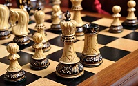 Брат и сестра показали класс в шахматах