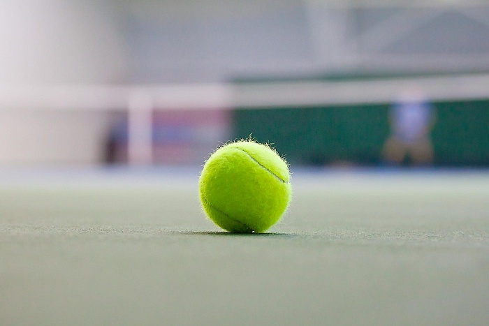 Из-за «лебедей» покидает крымские корты