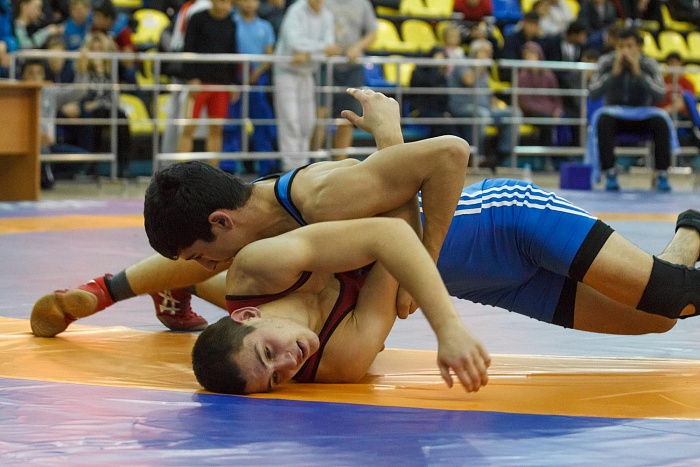 Хорошо боролись у Магнитной горы