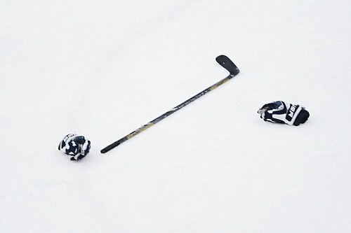 В Челябинске победил «Филин»