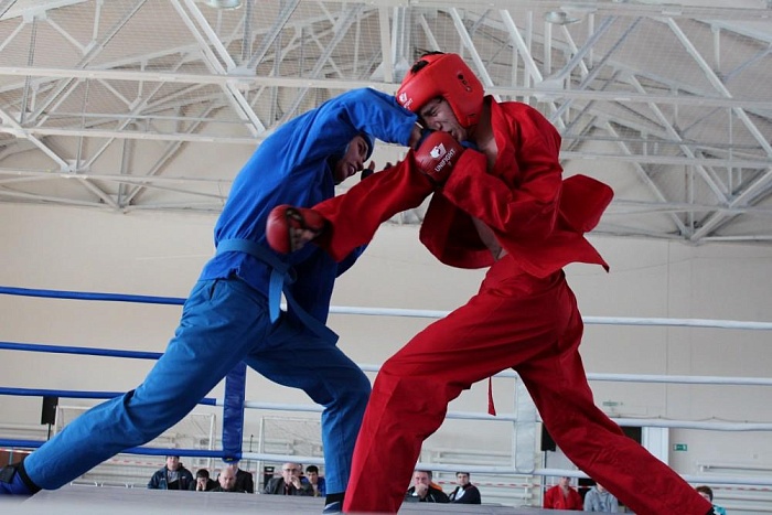 Фанаты универсального боя разыграли областные титулы