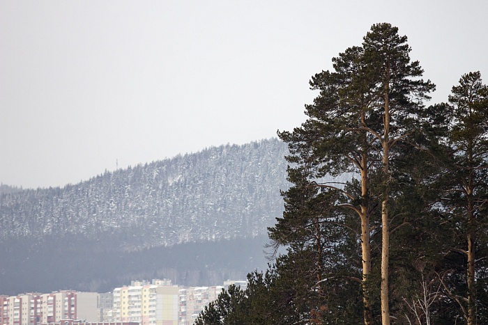 Спартакиада сильнейших по биатлону. Женская эстафета