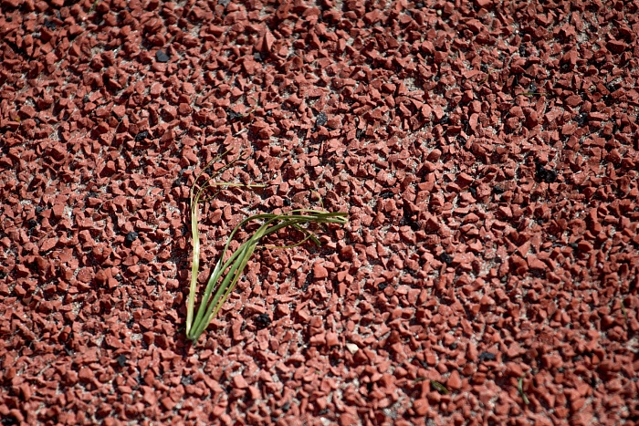 Чемпионат России. Первая лига. «Тюмень» - «Нефтехимик»