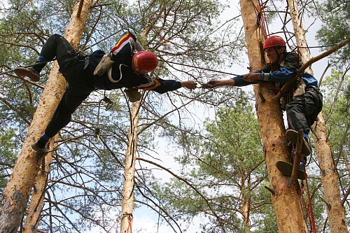 Выше всех взлетела «Синяя птица»