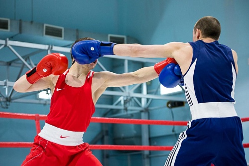 На ринге сражались за областное чемпионство