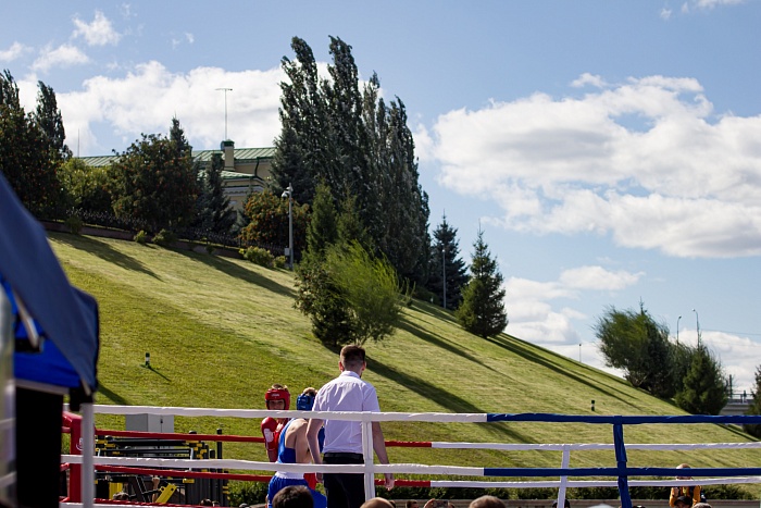 Фестиваль единоборств в День физкультурника на тюменской набережной
