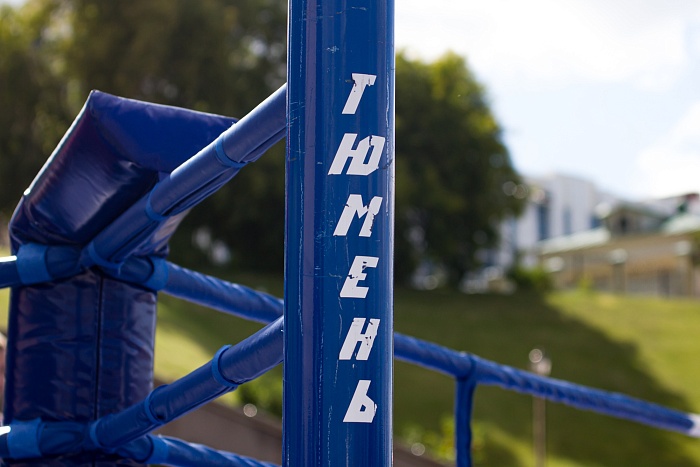 Фестиваль единоборств в День физкультурника на тюменской набережной